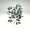 Artificial Green/White Ficus Spray 23 Inch – Faux Greenery Stem for Wreaths & Arrangements-FG505431